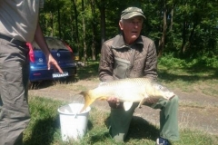 Vengrényi Gy. - 8 kg. - Ponty